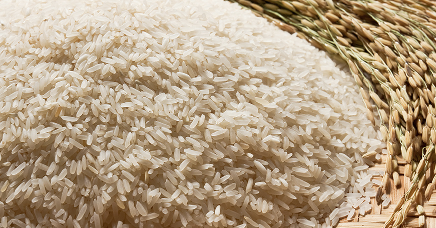 Image 21: Tuckshop_Programmes_2024 Residency_Nasi Goreng Diplomacy_Highlight