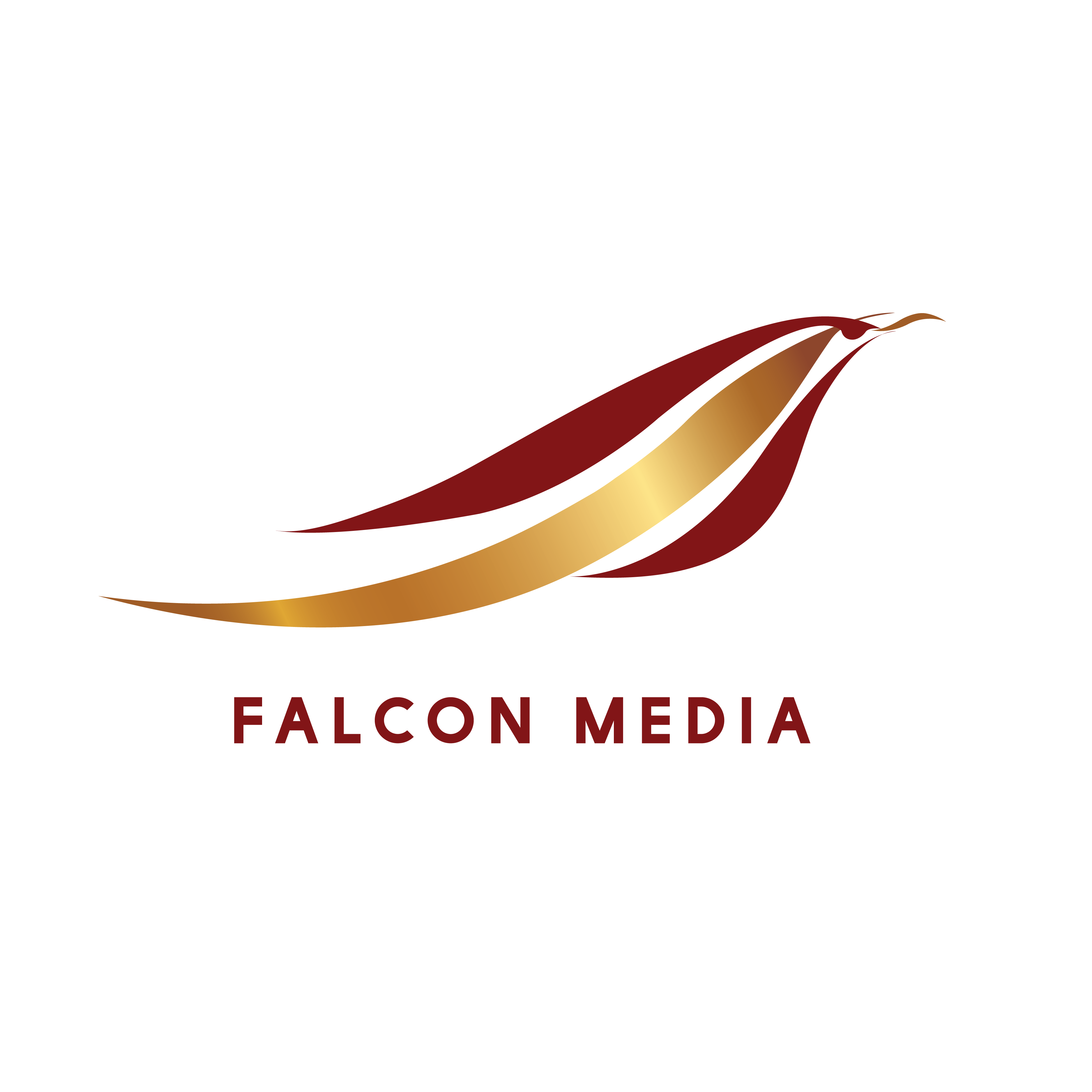 Logo_Falcon Media